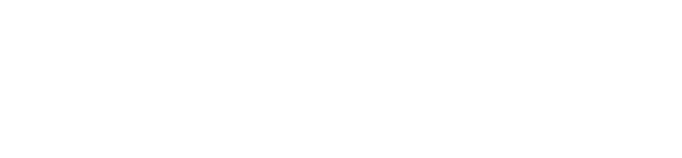 NZW WHITE Logo Since 1990 reversed